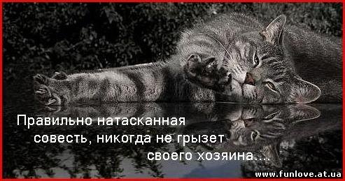Правильно натасканная совесть...