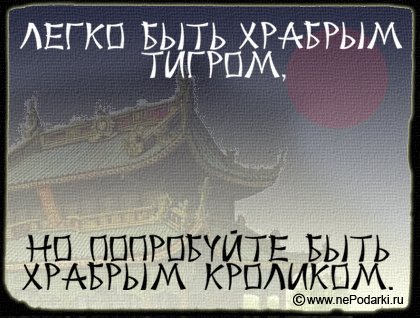 Легко быть храбрым тигром...